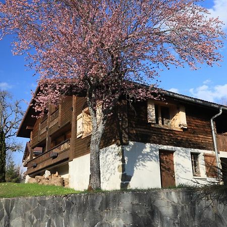 Sous Les Ecotagnes Vila Les Villards-sur-Thones Exterior foto