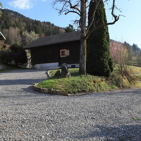 Sous Les Ecotagnes Vila Les Villards-sur-Thones Exterior foto