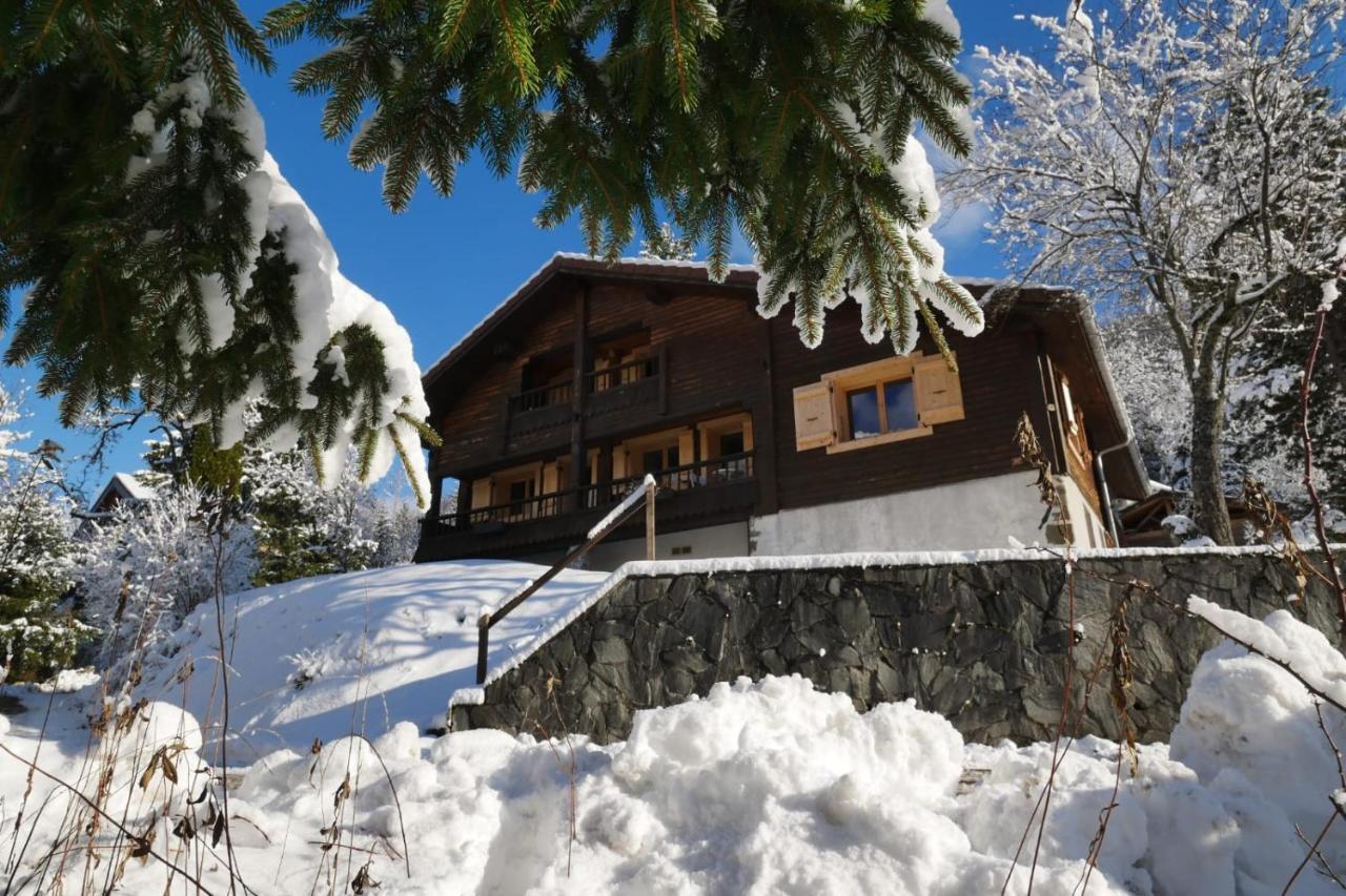 Sous Les Ecotagnes Vila Les Villards-sur-Thones Exterior foto