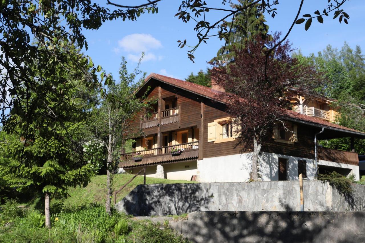 Sous Les Ecotagnes Vila Les Villards-sur-Thones Exterior foto